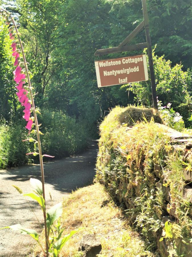 Wellstone Cottages - Jasmine Llanfyrnach Eksteriør bilde