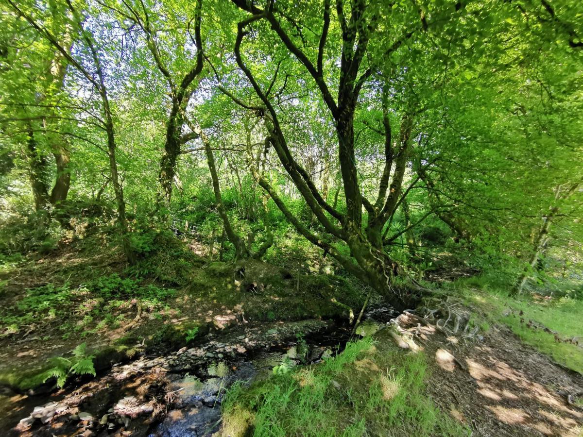 Wellstone Cottages - Jasmine Llanfyrnach Eksteriør bilde